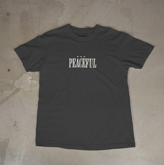 Heavyweight T-Shirt - Dove